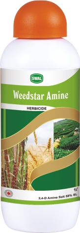 Weedstar Amine 